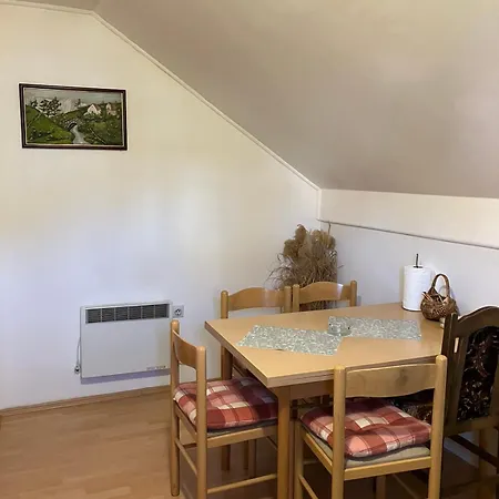Apartmani Rada Ζλάτιμπορ Εξωτερικό φωτογραφία