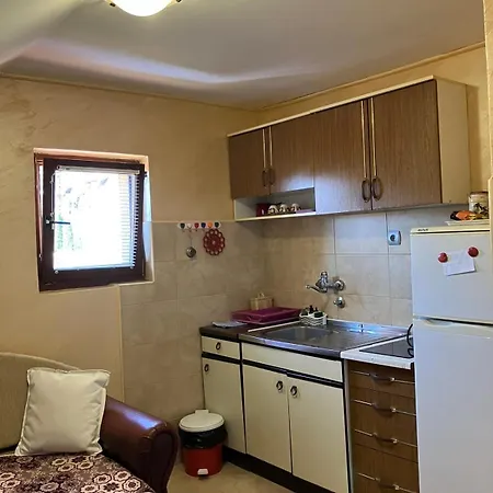 Apartmani Rada Ζλάτιμπορ Εξωτερικό φωτογραφία